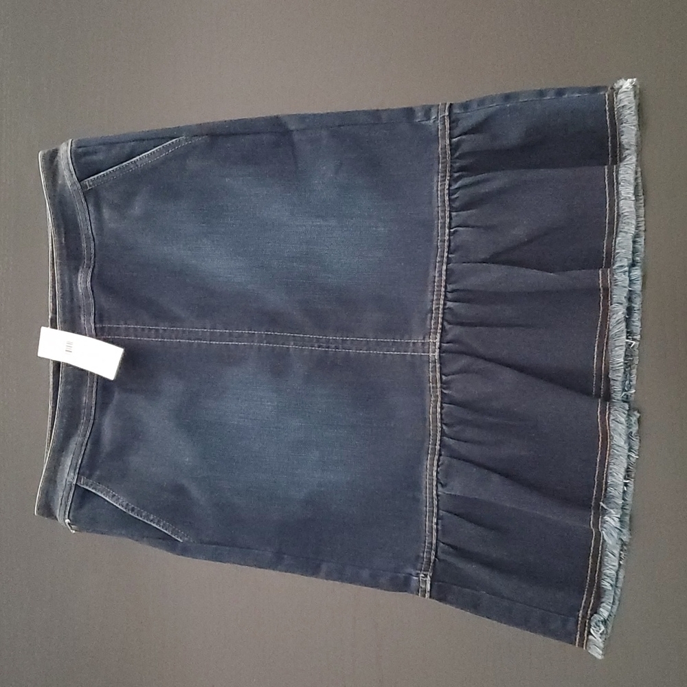 Ann Taylor skirt NWT Size 2